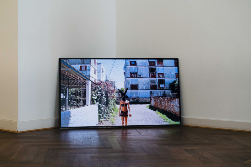 Bild für A MAN OF MANY PARTS