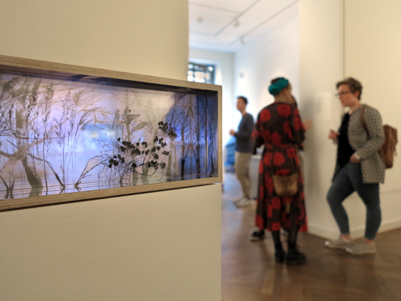 Galerie Saalbau - Alice Baillaud - En Passant