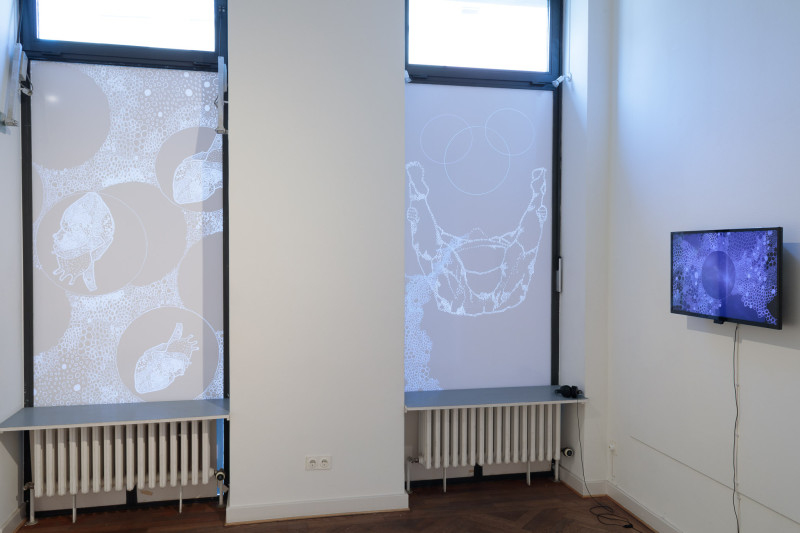 Image for An Imagination of Bodily Autonomy