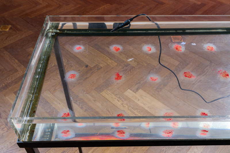 Image for An Imagination of Bodily Autonomy