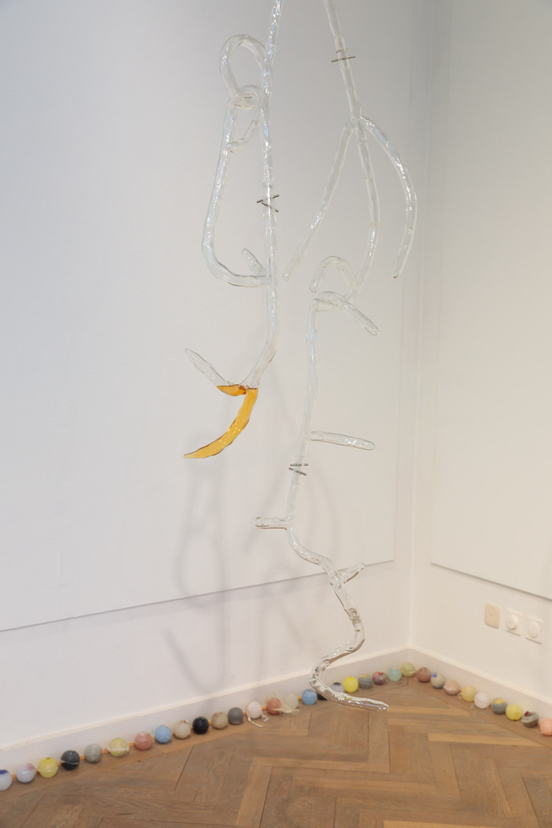 Image for An Imagination of Bodily Autonomy