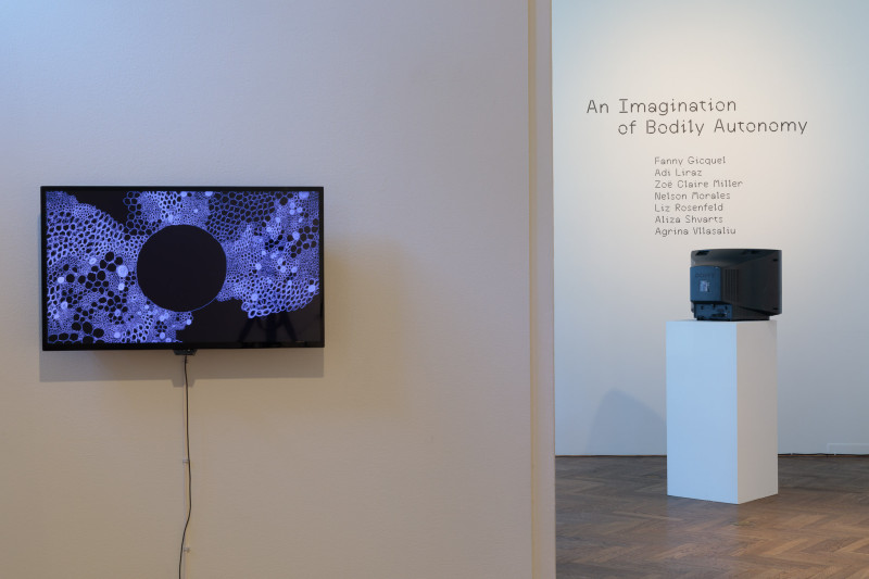 Image for An Imagination of Bodily Autonomy