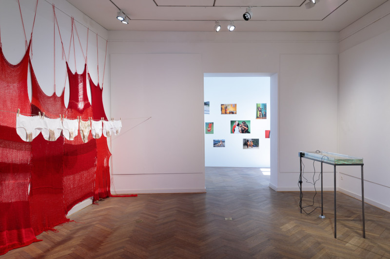 Image for An Imagination of Bodily Autonomy