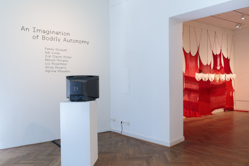 Image for An Imagination of Bodily Autonomy