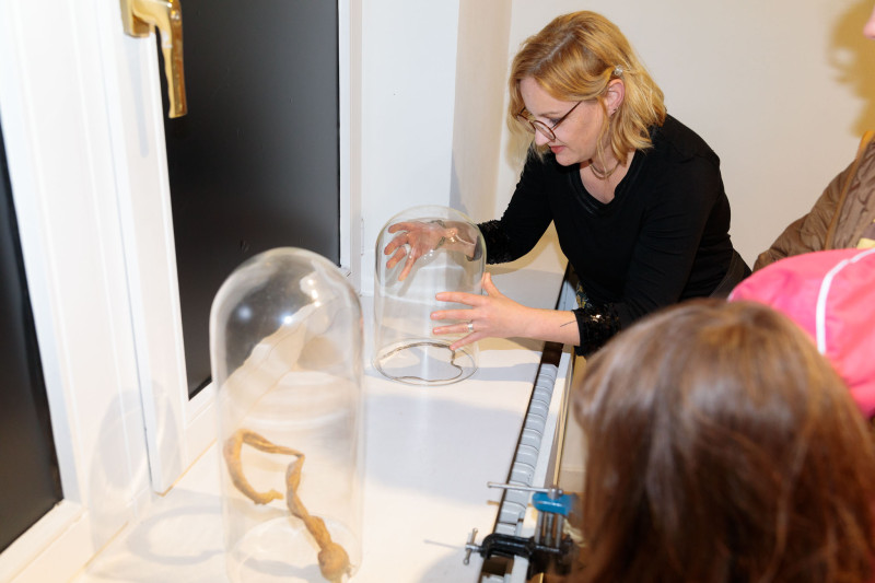 Bild für beyond tongues