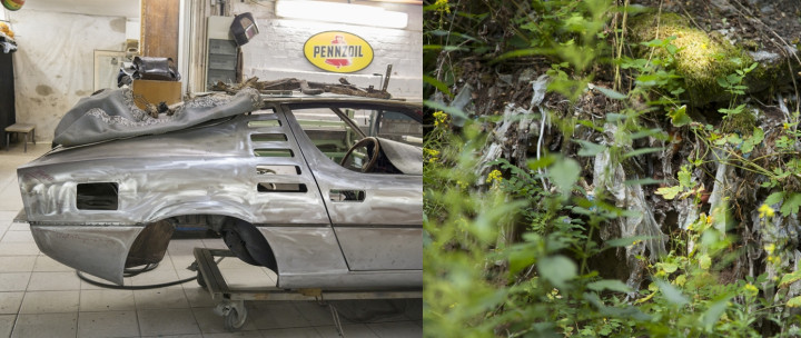 Zwei Bilder auf einem Foto: auf der einen Seite sieht man Autokarrosserie, auf der Anderen grüne Natur.