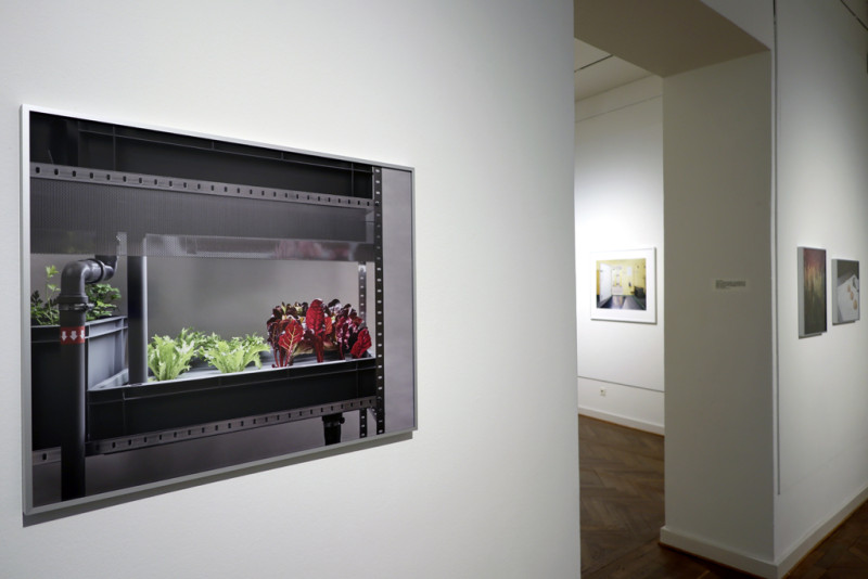 Bild für Franca Wohlt – Fata Morgana