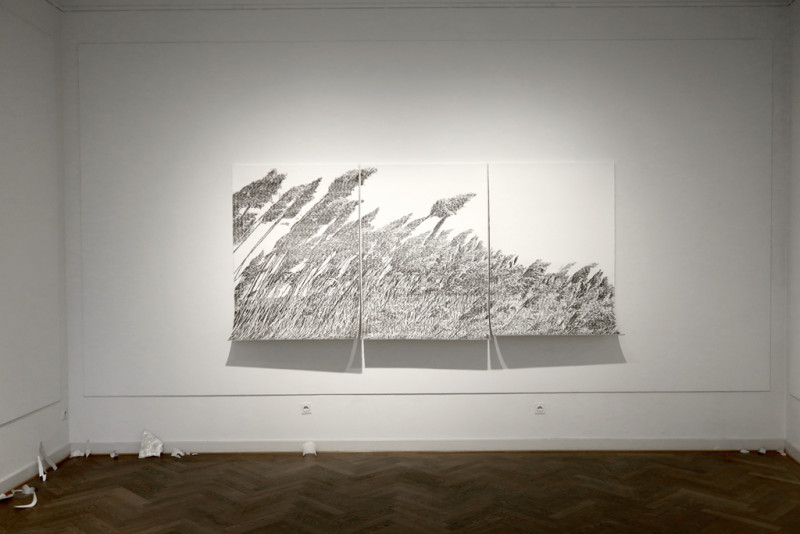 Bild für Klang der Stille