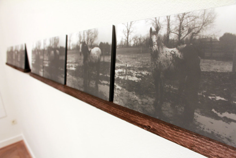 Lena Ader – Wärst du ein Pferd..., 2016,