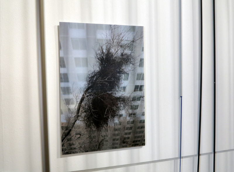 Bild für raumwandeln