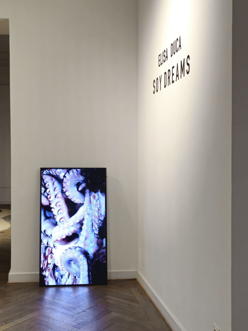 Im Vordergrund steht ein Monitore mit einer Videoarbeit