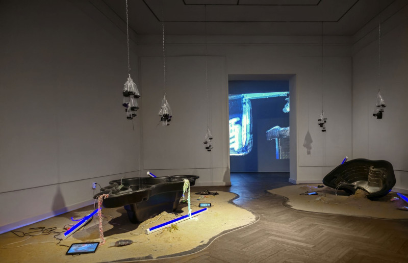 Blick in die Ausstellung von Elisa Duca: Soy Dreams, 2023