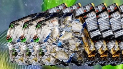 Bild für Führung und Künstler*-*innen*-*gespräch