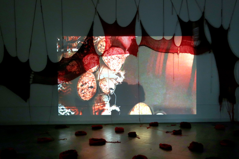 Image for T‘ME‘A טמאה